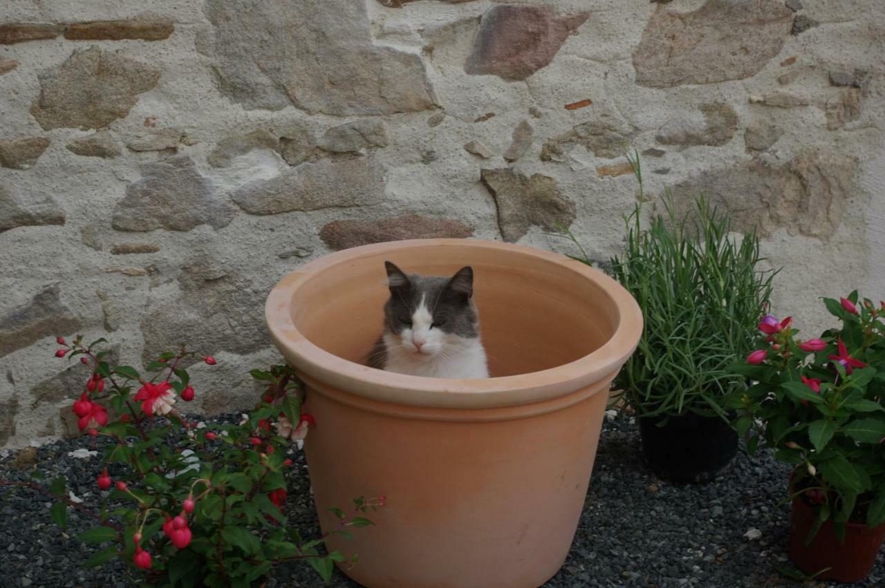 Les Trois Etangs Bed & Breakfast Saint-Viaud Eksteriør bilde